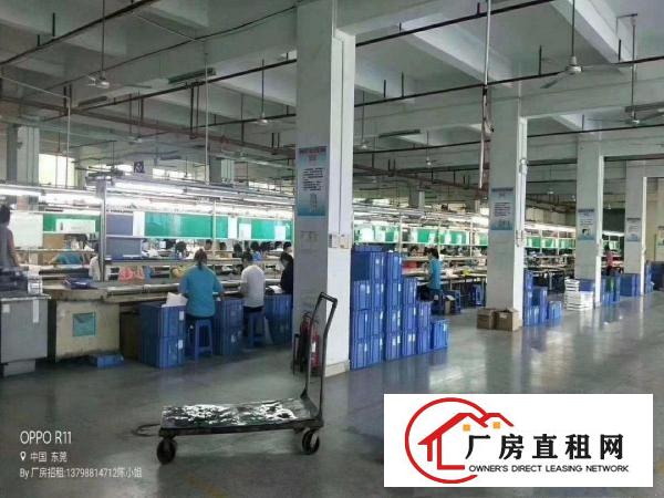 横岗荷坳地铁站的独院厂房1130平米一楼高6米带牛角