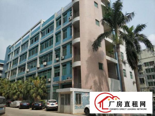  横岗地铁旁新出标准厂房精装修便宜出租带电梯水电齐全