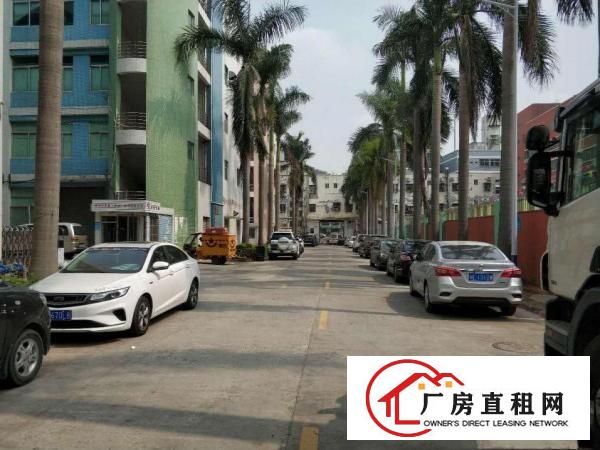  横岗地铁旁新出标准厂房精装修便宜出租带电梯水电齐全