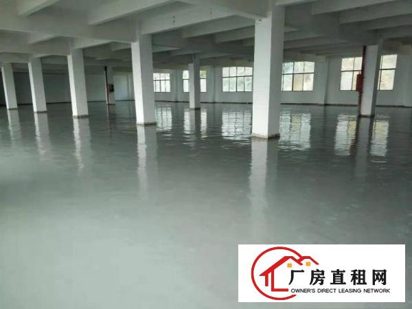  横岗地铁站房东厂房招租，价格优惠！大小面积都有！
