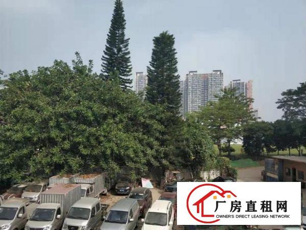  大运地铁站D口一楼2200平可分租