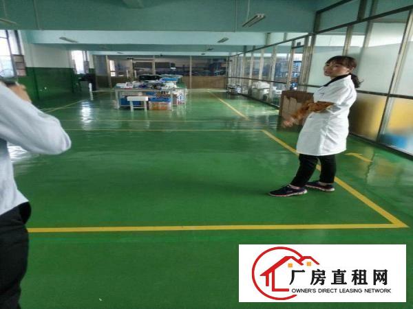  横岗永湖地铁站精装修厂房300平方出租电商仓库