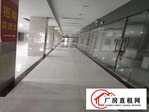  横岗步行街（商场整层招租，可包租）2200平。