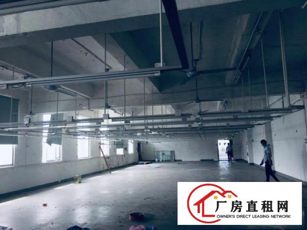  横岗全装修现成服装厂房580平，厂房端正