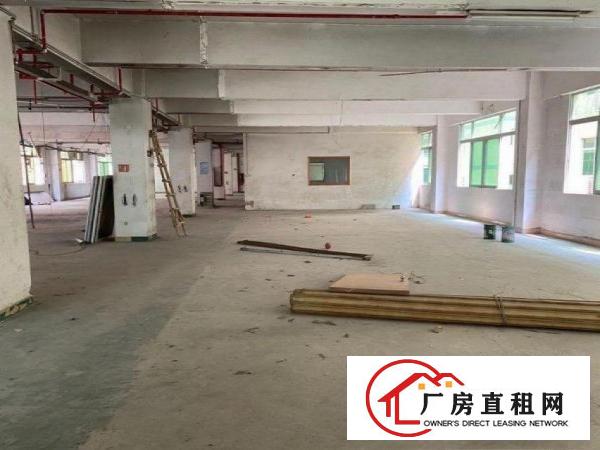  横岗旱塘村大型工业园区1500平方厂房出租适合电子