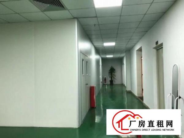  横岗大康社区800平三楼带豪华装修厂房出租