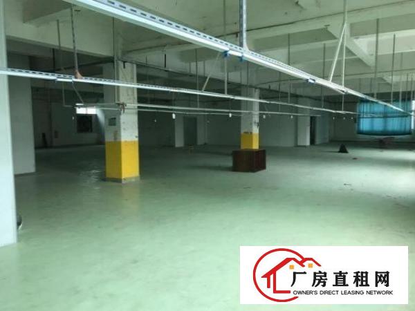  横岗坳背市场新出一楼厂房600平厂房出租