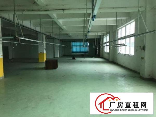  横岗坳背市场新出一楼厂房600平厂房出租