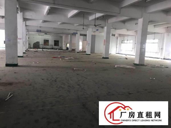  出租龙岗区横岗红本高新产业园一楼2000平米层高6米