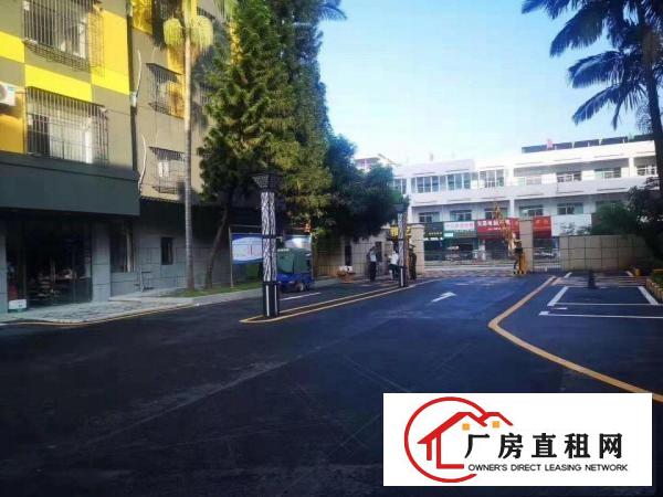  横岗塘坑地铁站精装办公室电商仓库100平米起分租