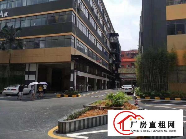  横岗塘坑地铁站精装办公室电商仓库100平米起分租