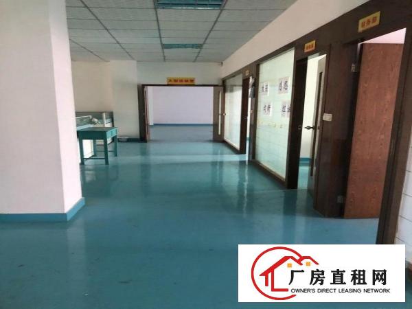  龙岗横岗沙荷路边独门独院水电齐全精装修办公室