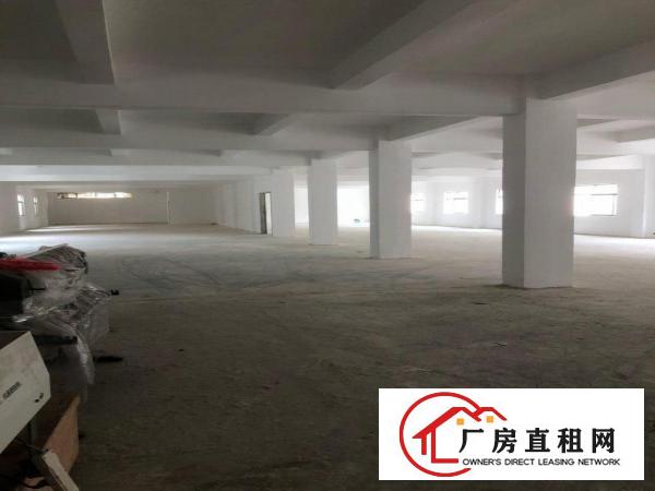  龙岗横岗沙荷路边独门独院水电齐全精装修办公室