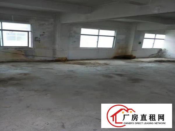  房东本人出租横岗安良带电梯厂房、仓库（有意者电话）