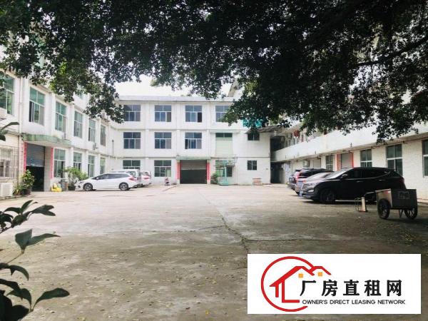  深坑工业区一楼450平实量面积标准厂房出租