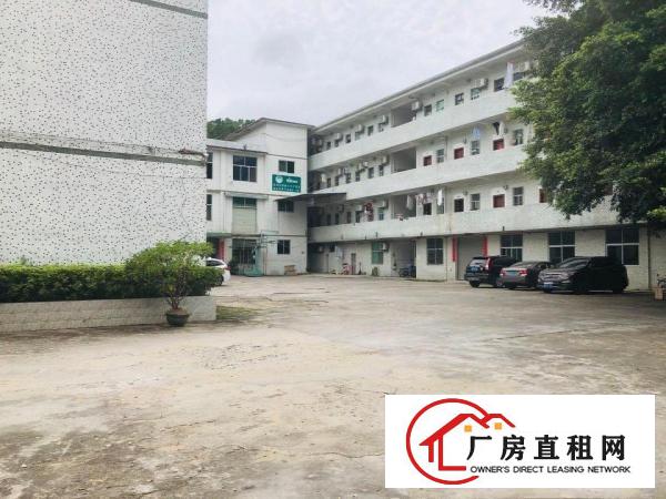  深坑工业区一楼450平实量面积标准厂房出租