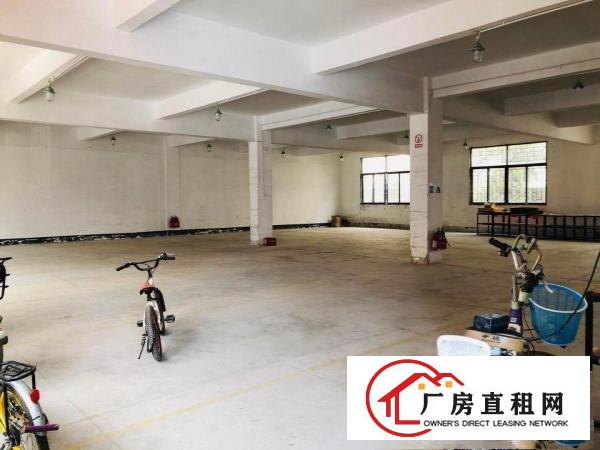  深坑工业区一楼450平实量面积标准厂房出租