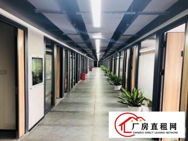 龙岗可申请创业补贴，5人间，共享办公，节约成本