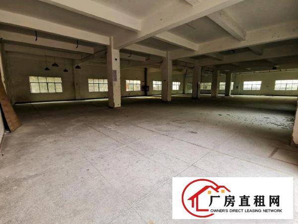  独门独院厂房出租分租一到四层