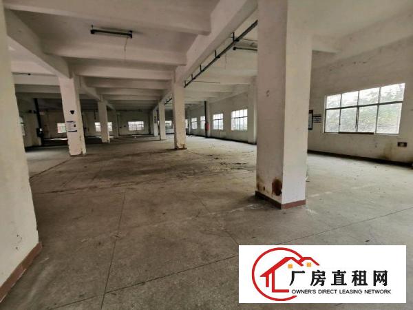  独门独院厂房出租分租一到四层