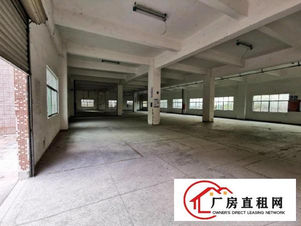  独门独院厂房出租分租一到四层
