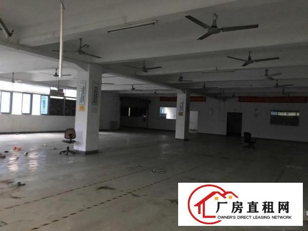  囩龙村简龙村广房出租