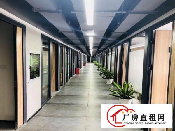  自有物业，龙岗办公室，拎包办公.费用全包