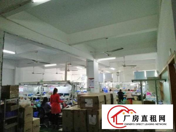  横岗华乐路原房东厂房750平出租，面积实在，带装修