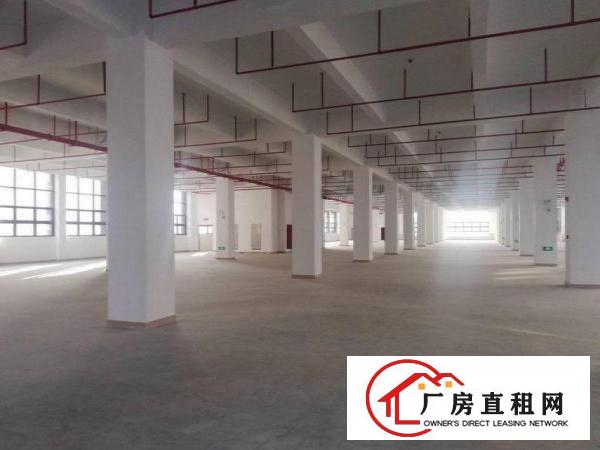  横岗四联豪华装修厂房楼上2950平出租可分租，现成装修