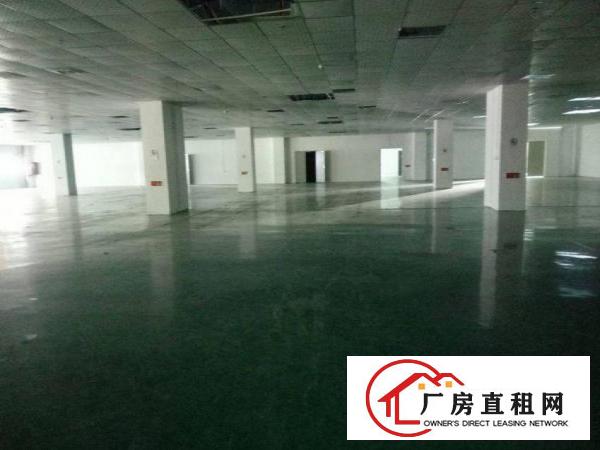  横岗大型工业园楼上精装修单层面积3500平出租，配电大