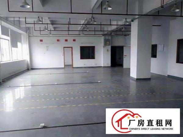  横岗茂兴路招租楼上厂房580平，有红本