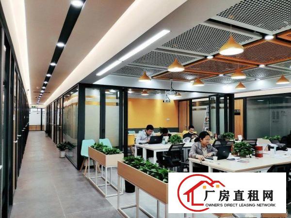  龙岗办公室25平，免装修，即租即用，可注册电商亚马逊，当仓库