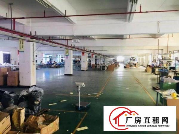 横岗四联新出独院3500平精装厂房出租大小可分，主线到位
