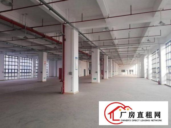  横岗恒丰路楼上豪华装修厂房2900平米出租可分租，三部货梯