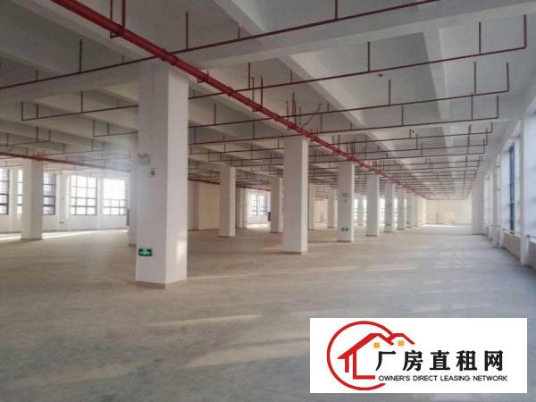  横岗恒丰路楼上豪华装修厂房2900平米出租可分租，三部货梯