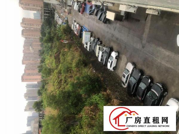  横岗六约急租出租横岗办公室仓库150到250平方左右