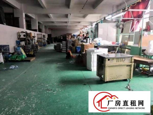  横岗松柏2楼厂房480平出租，带红本，无公摊，出入方便