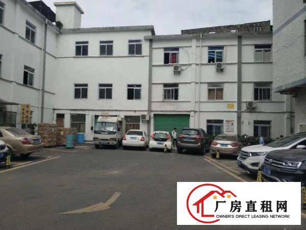  横岗力嘉创意文化产业园1楼240平3楼280平使用面积