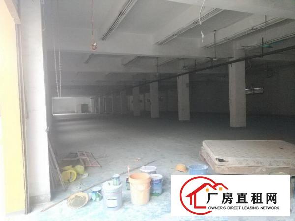  横岗力嘉创意文化产业园1楼240平3楼280平使用面积