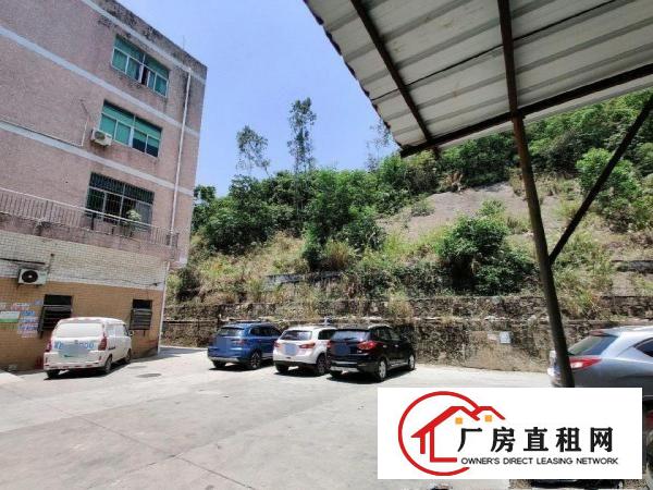  228工业区厂房二层三层出租各800㎡可分组