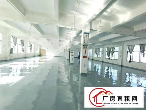  独门独院厂房，交通便利，空地面积大