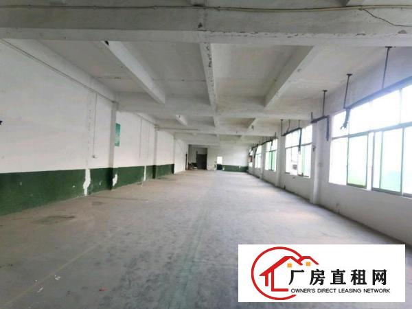  六约新出原房东独院厂房二楼965平方精装修