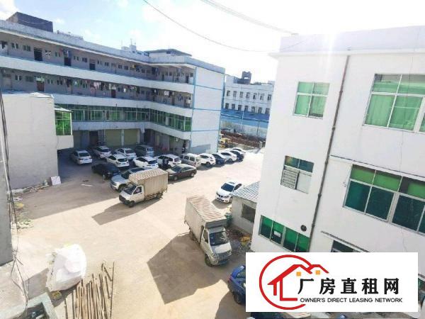  六约新出原房东独院厂房二楼965平方精装修