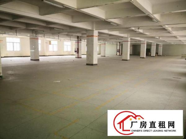  横岗六约厂房出租适合做电子厂玩具厂