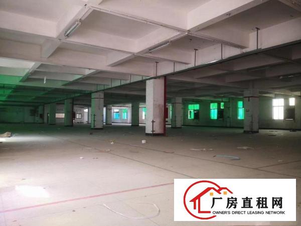  横岗六约厂房出租适合做电子厂玩具厂