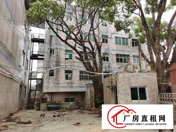  安良六约一手房东（原房东）独院厂房出租