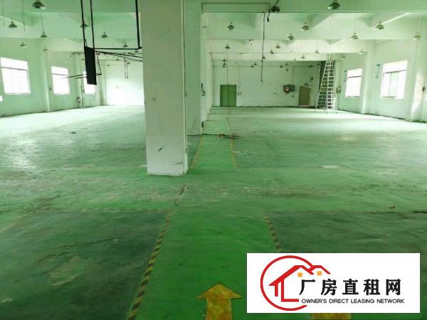  安良六约一手房东（原房东）独院厂房出租