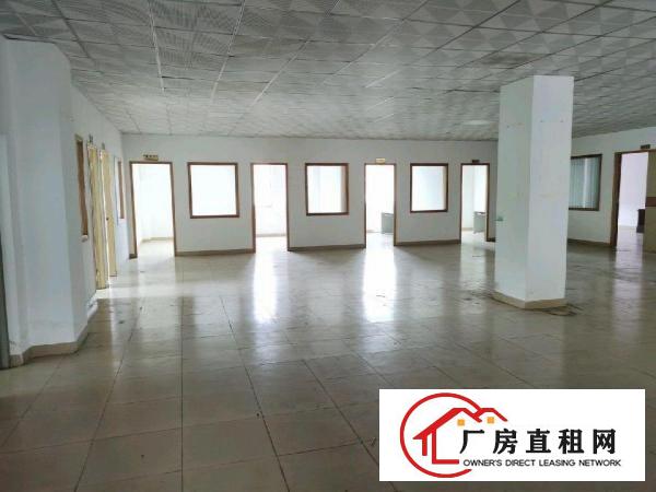  安良六约一手房东（原房东）独院厂房出租
