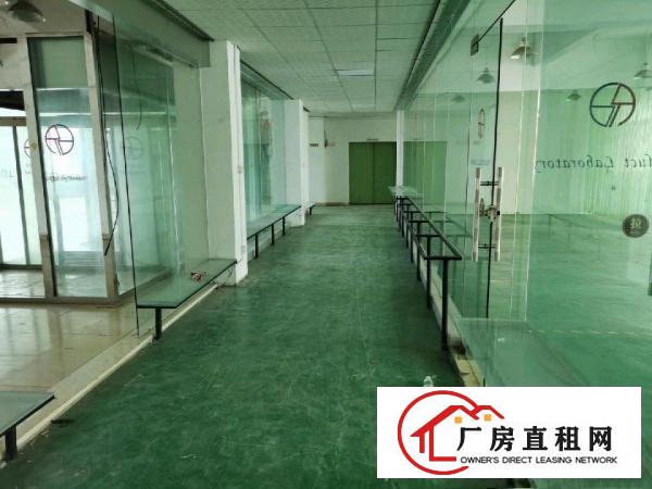  安良六约一手房东（原房东）独院厂房出租
