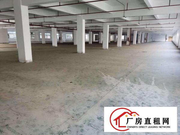  水官高速出口、228工业区大量厂房出租650-4100㎡